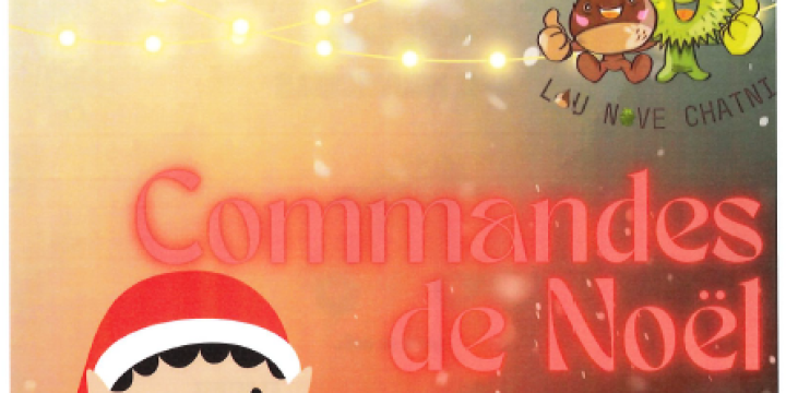 Ventes de Noël 2025 de l'APE